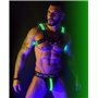 BREEDWELL Green Glow Bulldog Harness