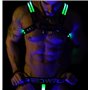 BREEDWELL Green Glow Bulldog Harness