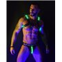 BREEDWELL Green Glow Bulldog Harness