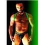 BREEDWELL Green Glow Shoulder Harness