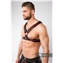 MASKULO - 2 Fronts Chest Harness Red