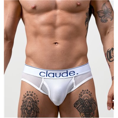 Project Claude Mesh Classic Brief