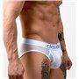 Project Claude Mesh Classic Brief