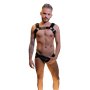 Addikt for La Demence: Black Harness