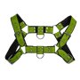 Addikt Smooth Leather Bulldog Harness: Green