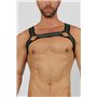 Bandit Harness Green