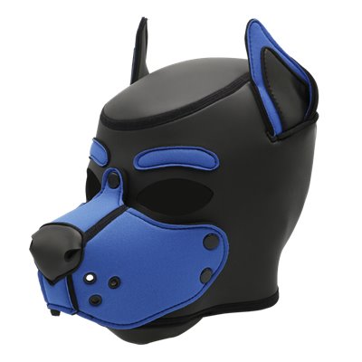 Neo K9 Hood Cobalt