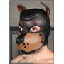 Mr-S K9 Leather Hood: Black & Tan