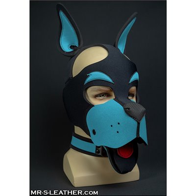 Neo WOOF! Head Harness Aqua