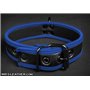 Neo Puppy Collar Blue Piping