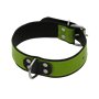 Addikt Smooth Leather Collar: Green & Black