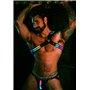 BREEDWELL Rainbow Glow Asymmetrical Harness