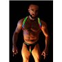 BREEDWELL Rainbow Glow Shoulder Harness