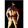 BREEDWELL Rainbow Glow Shoulder Harness